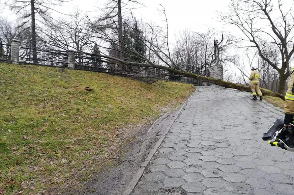 Wichury w powiecie: łącznie 78 zdarzeń, uszkodzonych 27 budynków - zdjęcie 15