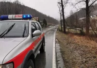 Drzewo spadło na samochód - zdjęcie główne