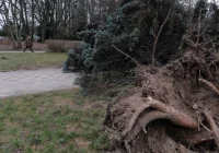 Alert RCB przed silnym wiatrem i burzami. Ostrzeżenie IMiGW - zdjęcie główne