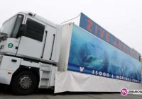 Rekiny na limanowskim rynku - zdjęcie główne