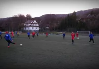 Krokus w formie przed wiosną - zdjęcie główne