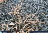 Prognoza synoptyczna na ten tydzień - zdjęcie główne