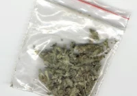 Narkotyki w samochodzie. Trzech zatrzymanych - zdjęcie główne