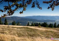 Odkryj Beskid Wyspowy i 'Weekend za pół ceny' - zdjęcie główne