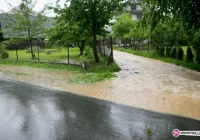 Straty co najmniej 9 mln zł - zdjęcie główne