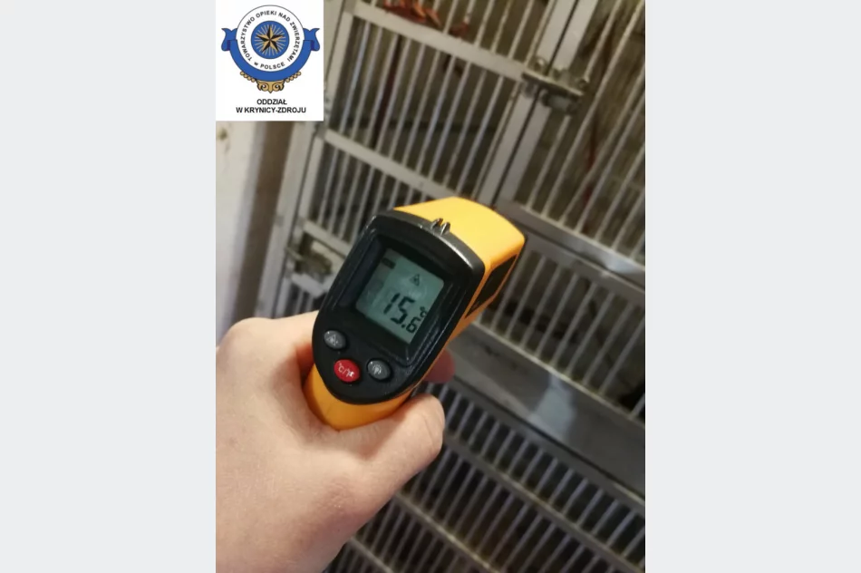 Odebrane zwierzęta i zawiadomienie o podejrzeniu znęcania się - interwencja w zoologicznym - zdjęcie 4