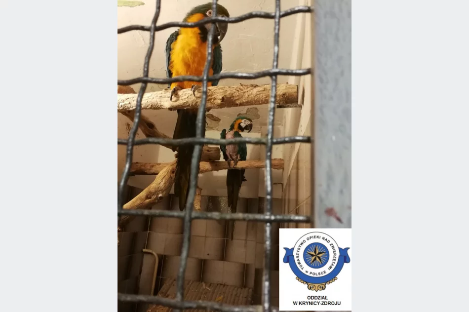 Odebrane zwierzęta i zawiadomienie o podejrzeniu znęcania się - interwencja w zoologicznym - zdjęcie 6