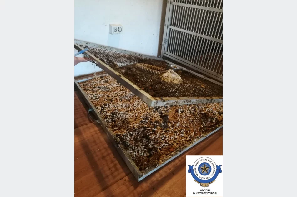 Odebrane zwierzęta i zawiadomienie o podejrzeniu znęcania się - interwencja w zoologicznym - zdjęcie 10