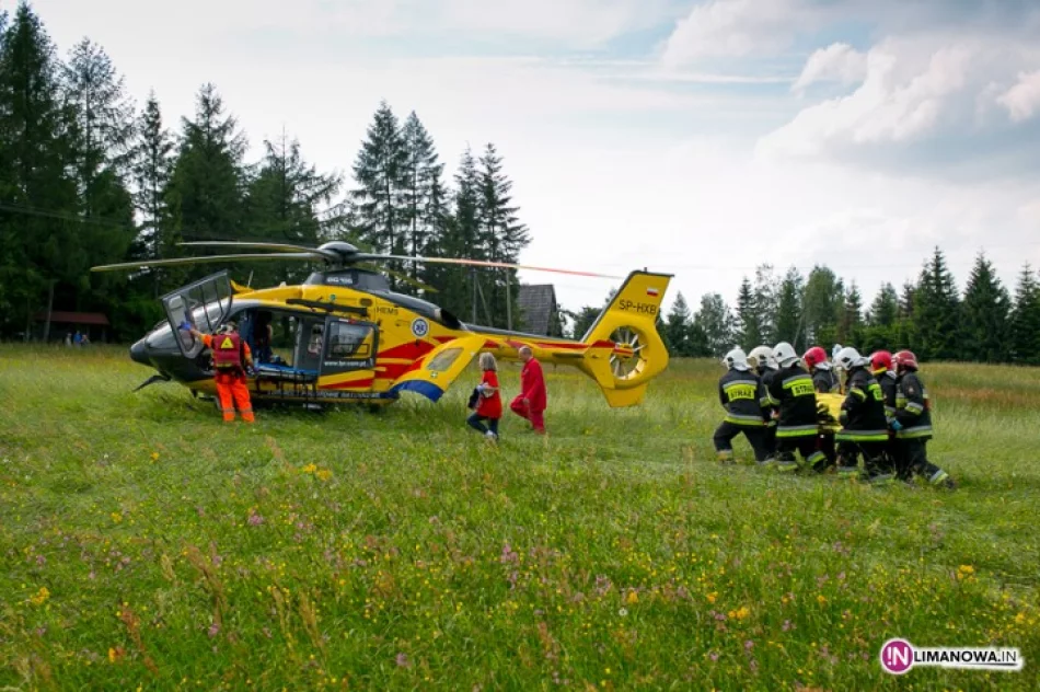 Czołowe zderzenie. Śmigłowiec na pomoc - zdjęcie 4