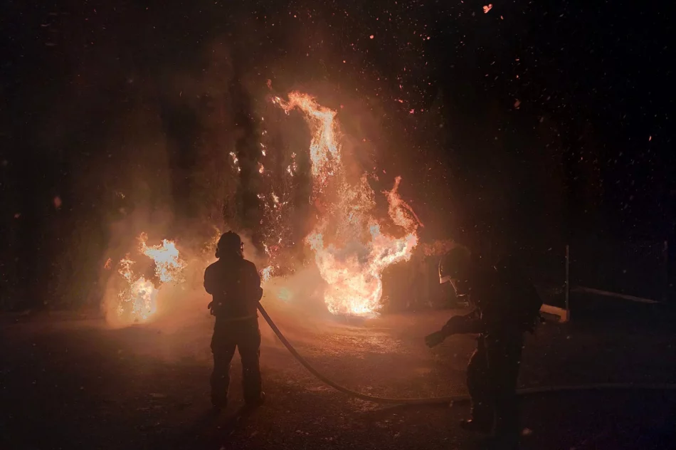 Pożar przy cmentarzu - zdjęcie 3