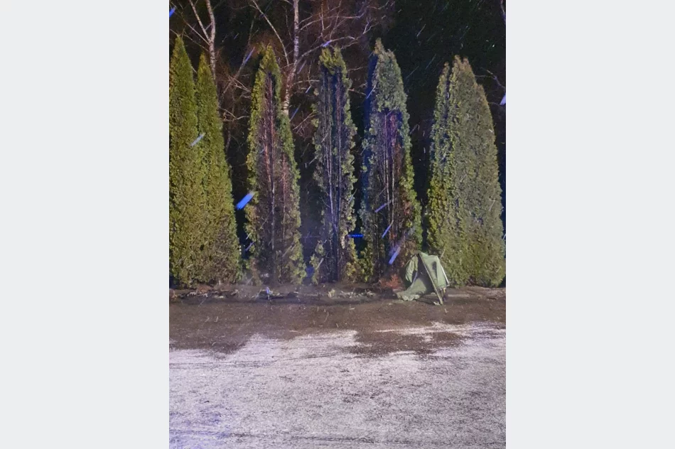 Pożar przy cmentarzu - zdjęcie 5