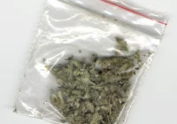 13-latek z marihuaną - zdjęcie główne