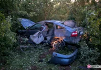 Opel dachował w sadzie - zdjęcie główne