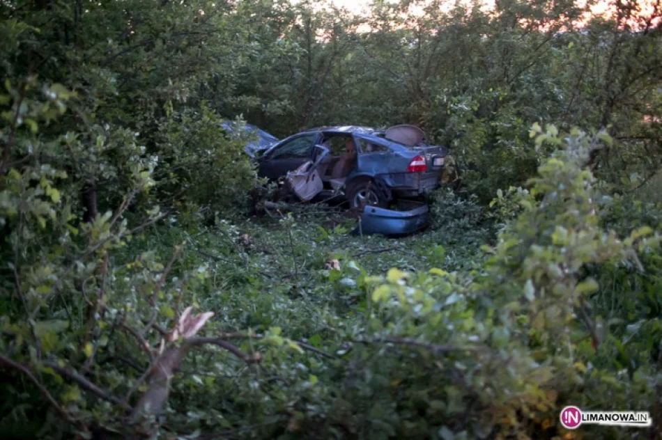 Opel dachował w sadzie - zdjęcie 2