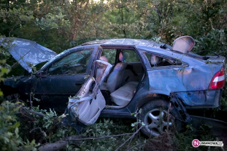 Opel dachował w sadzie - zdjęcie 3