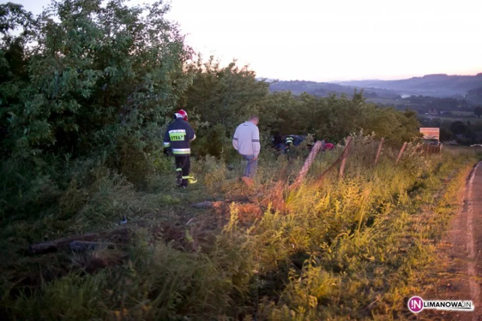 Opel dachował w sadzie - zdjęcie 4