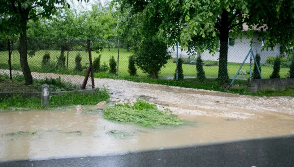 Zalane piwnice, zatkane przepusty - zdjęcie 1