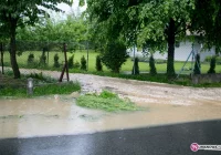 Zalane piwnice, zatkane przepusty - zdjęcie główne