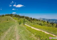 Bądź przewodnikiem - zapisz się na kurs - zdjęcie główne