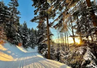 Limity tankowania szkodziły atrakcji turystycznej - zdjęcie główne