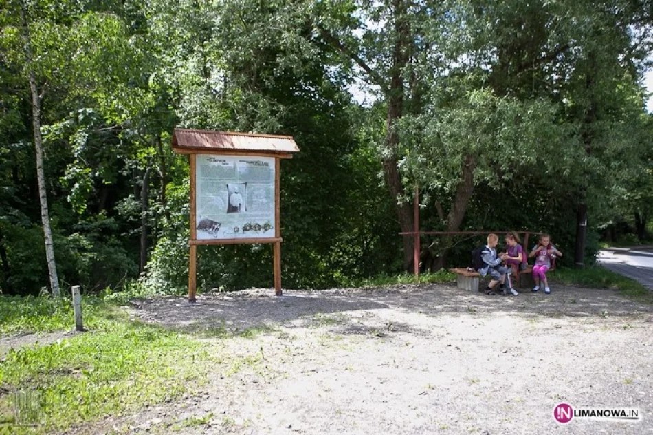 Tablica zamontowana, proszą o wsparcie - zdjęcie 4