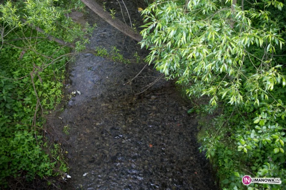 Granat w potoku. Czekają na saperów - zdjęcie 2