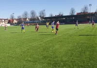 Wiosenny falstart Limanovii - zdjęcie główne