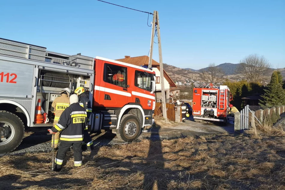 Pożar garażu gasiły trzy zastępy straży - zdjęcie 3