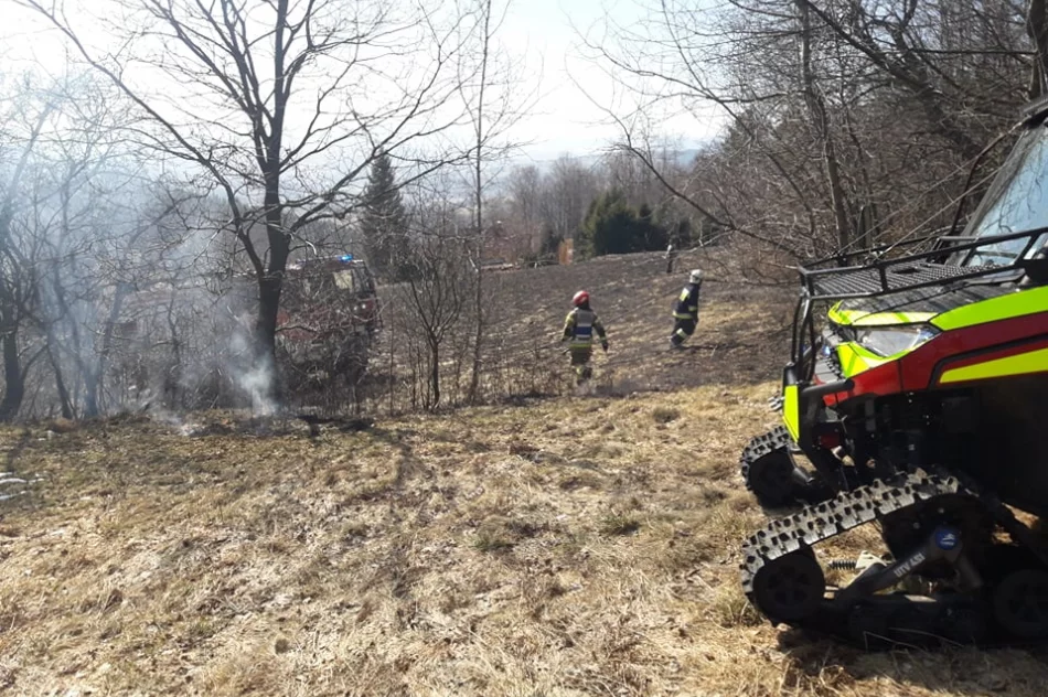 Dwie osoby poparzone w wyniku pożaru traw, wezwano śmigłowiec LPR - zdjęcie 3
