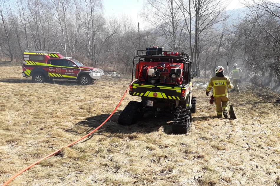 Dwie osoby poparzone w wyniku pożaru traw, wezwano śmigłowiec LPR - zdjęcie 4