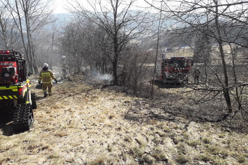 Dwie osoby poparzone w wyniku pożaru traw, wezwano śmigłowiec LPR - zdjęcie 5