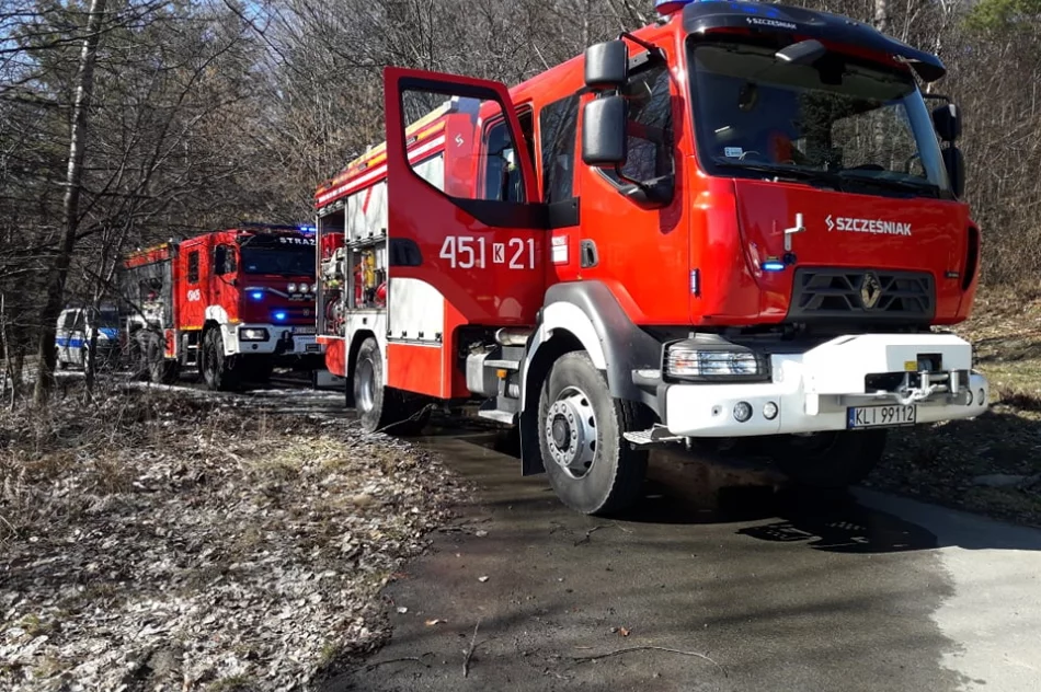 Dwie osoby poparzone w wyniku pożaru traw, wezwano śmigłowiec LPR - zdjęcie 6
