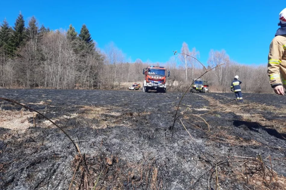 Dwie osoby poparzone w wyniku pożaru traw, wezwano śmigłowiec LPR - zdjęcie 8