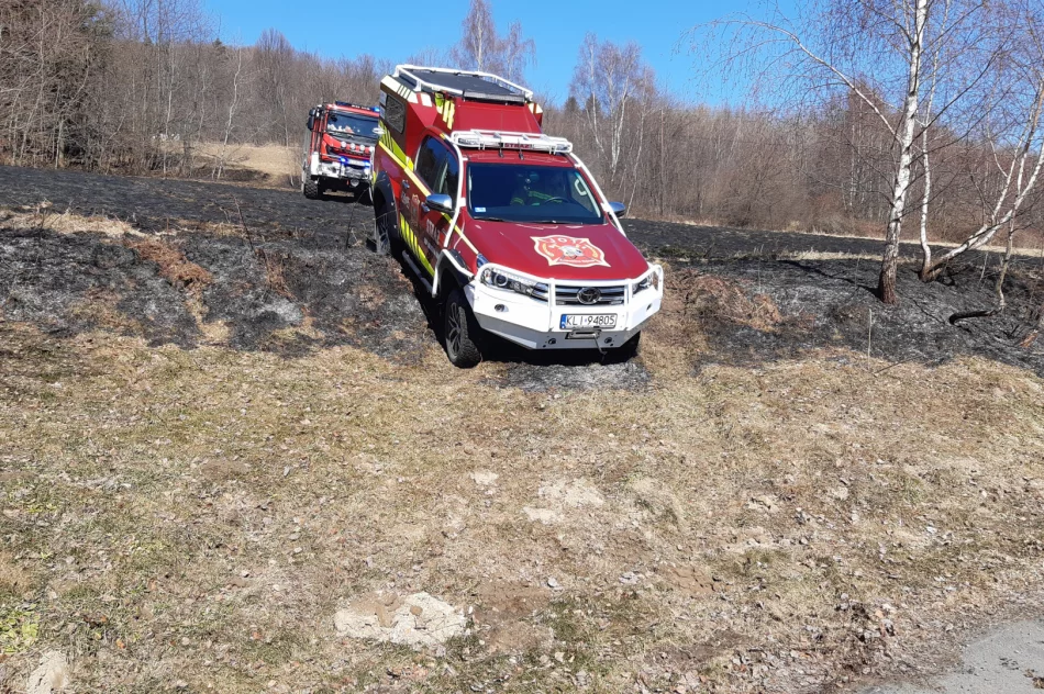 Dwie osoby poparzone w wyniku pożaru traw, wezwano śmigłowiec LPR - zdjęcie 10