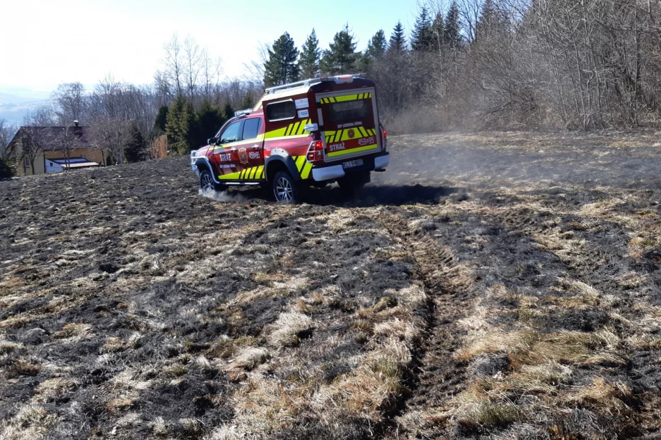 Dwie osoby poparzone w wyniku pożaru traw, wezwano śmigłowiec LPR - zdjęcie 11