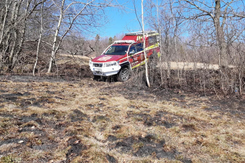 Dwie osoby poparzone w wyniku pożaru traw, wezwano śmigłowiec LPR - zdjęcie 12