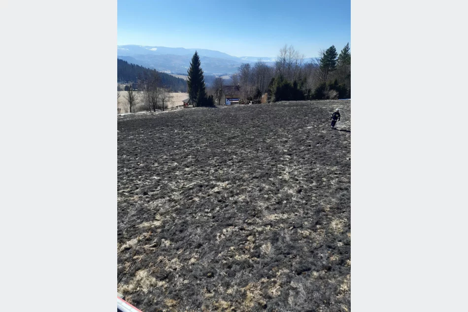 Dwie osoby poparzone w wyniku pożaru traw, wezwano śmigłowiec LPR - zdjęcie 14