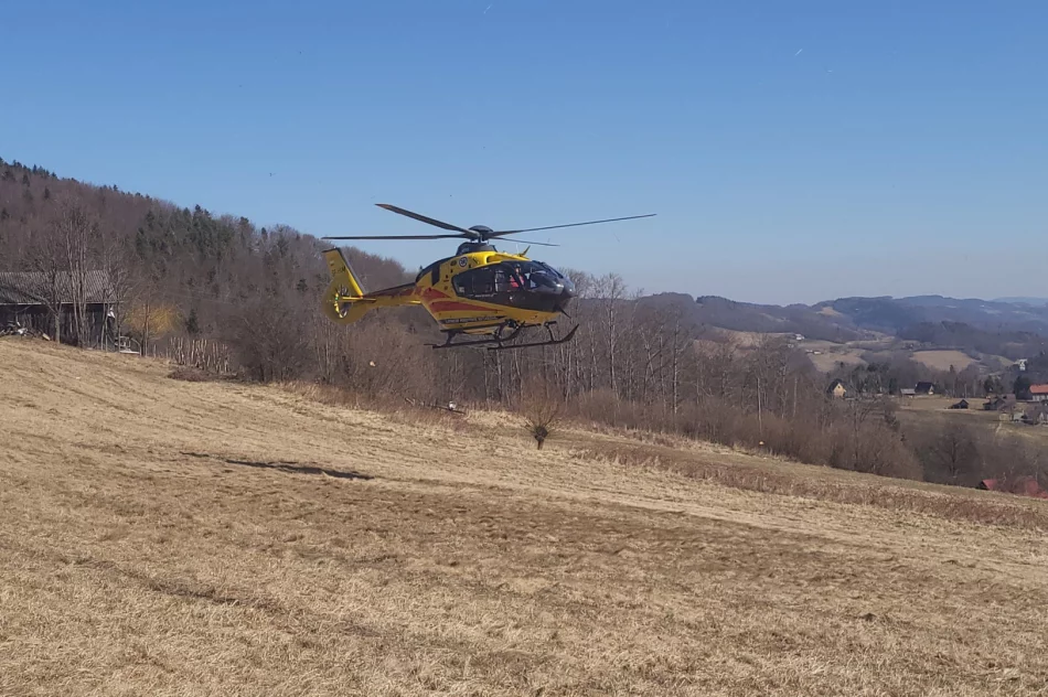 Dwie osoby poparzone w wyniku pożaru traw, wezwano śmigłowiec LPR - zdjęcie 15