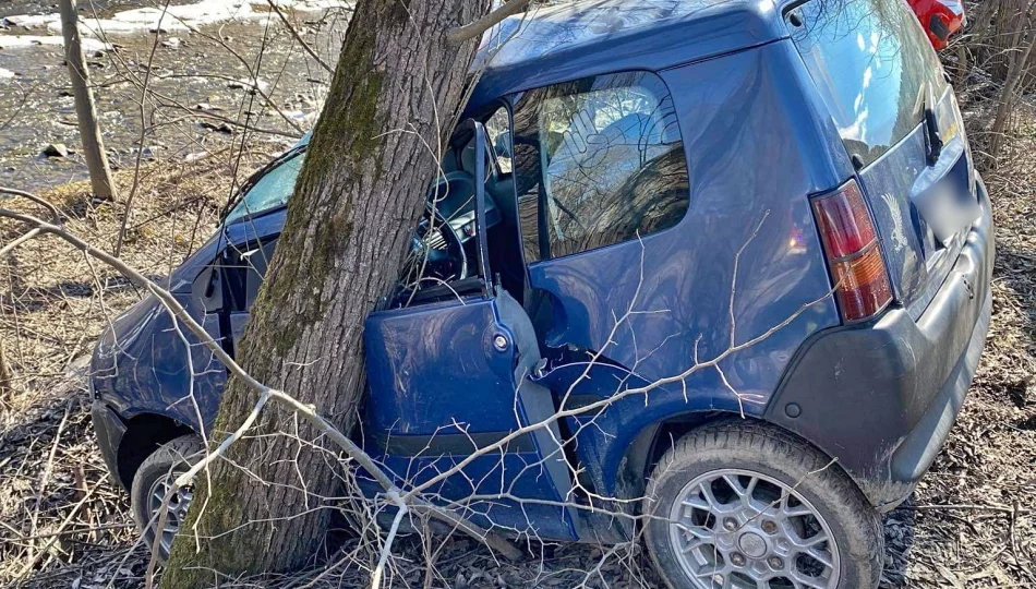 Pojazd wypadł z jezdni i uderzył w drzewo - zdjęcie 1