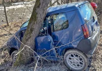 Pojazd wypadł z jezdni i uderzył w drzewo - zdjęcie główne
