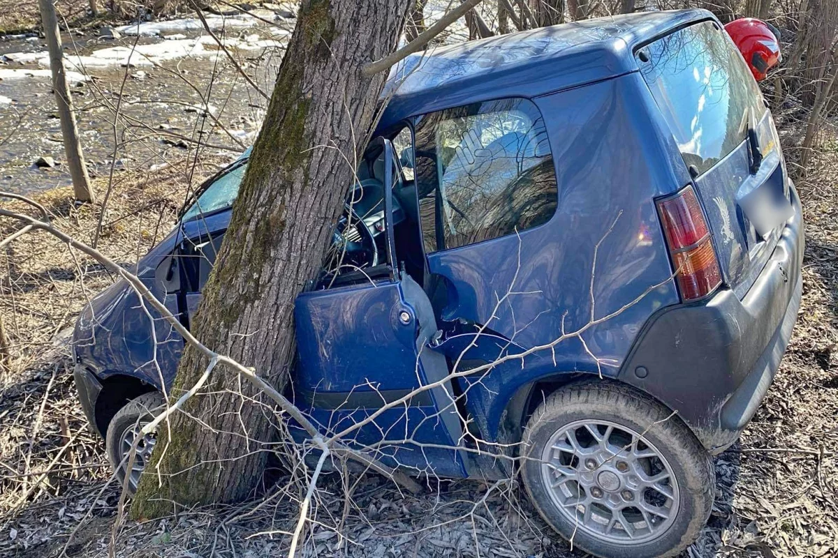 Pojazd wypadł z jezdni i uderzył w drzewo