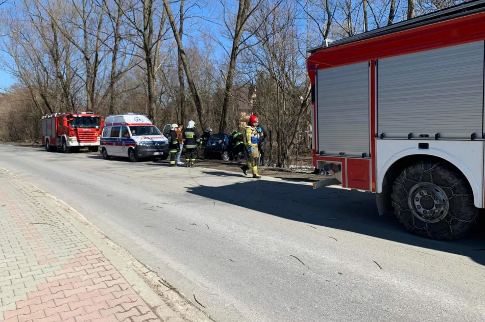 Pojazd wypadł z jezdni i uderzył w drzewo - zdjęcie 2
