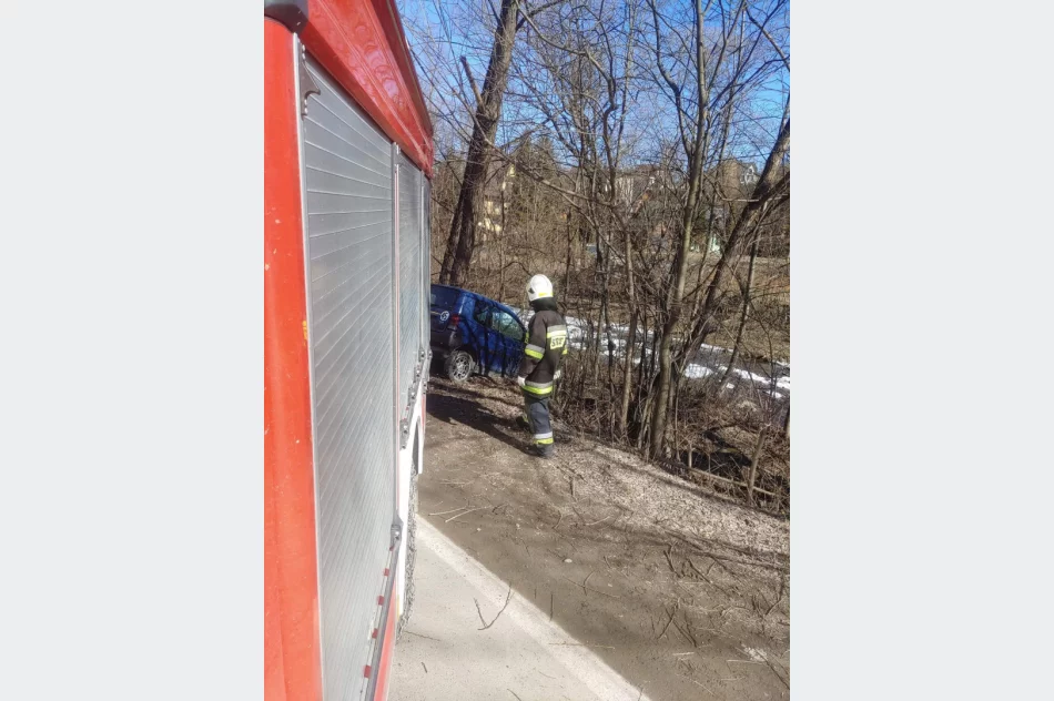 Pojazd wypadł z jezdni i uderzył w drzewo - zdjęcie 3