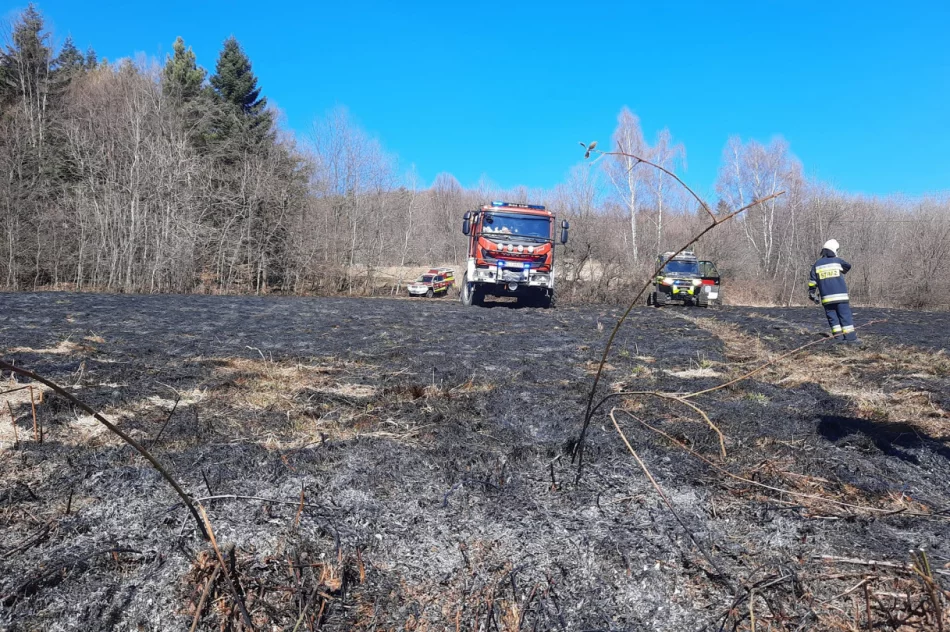 Poparzona 77-latka w stanie zagrożenia życia zabrana przez LPR - zdjęcie 3