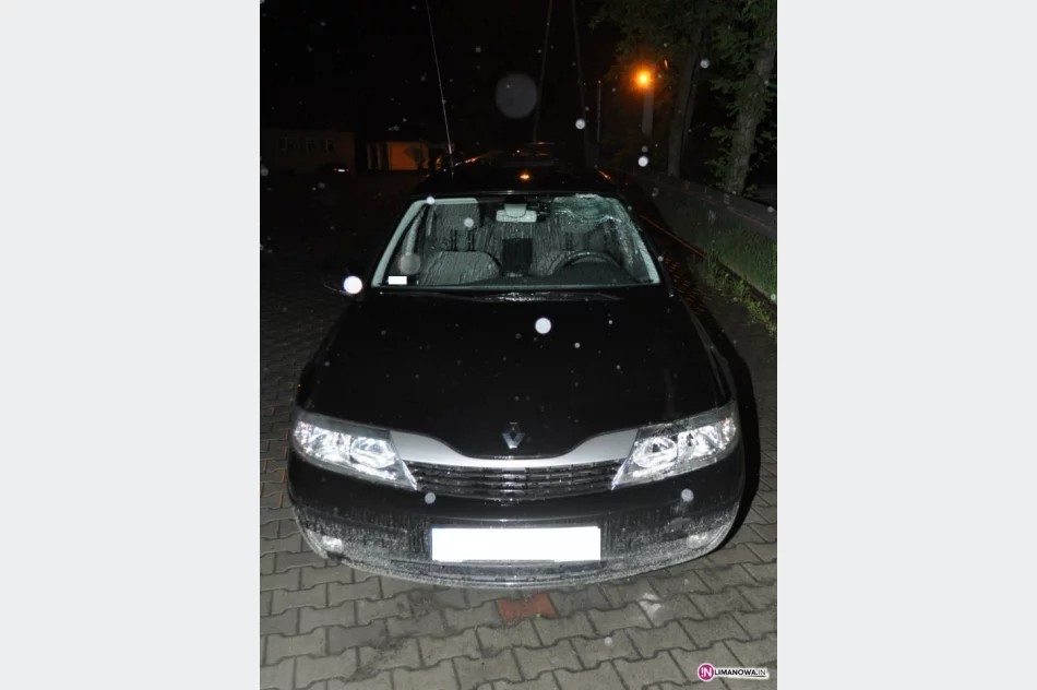 Wpadł do rzeki - miał 3 promile - zdjęcie 2