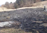 Pożar łąki rozprzestrzenił się na las - zdjęcie główne
