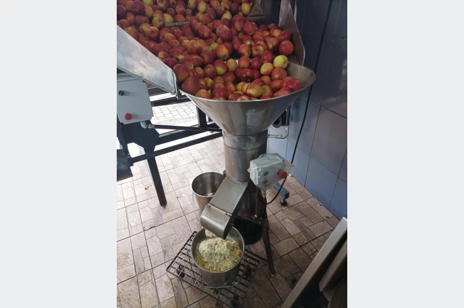 Młynek rozdrabniacz do owoców i warzyw - zdjęcie 2