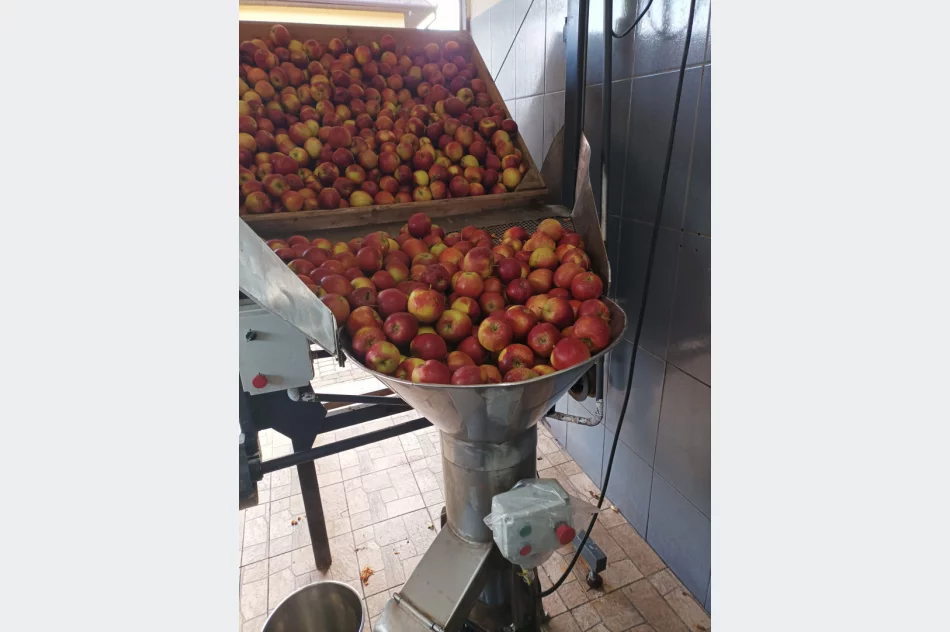 Młynek rozdrabniacz do owoców i warzyw - zdjęcie 3