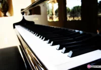 Podbijają sceny konkursowe - zdjęcie główne