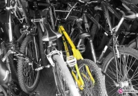 Złamana ręka kibica wyścigu - zdjęcie główne